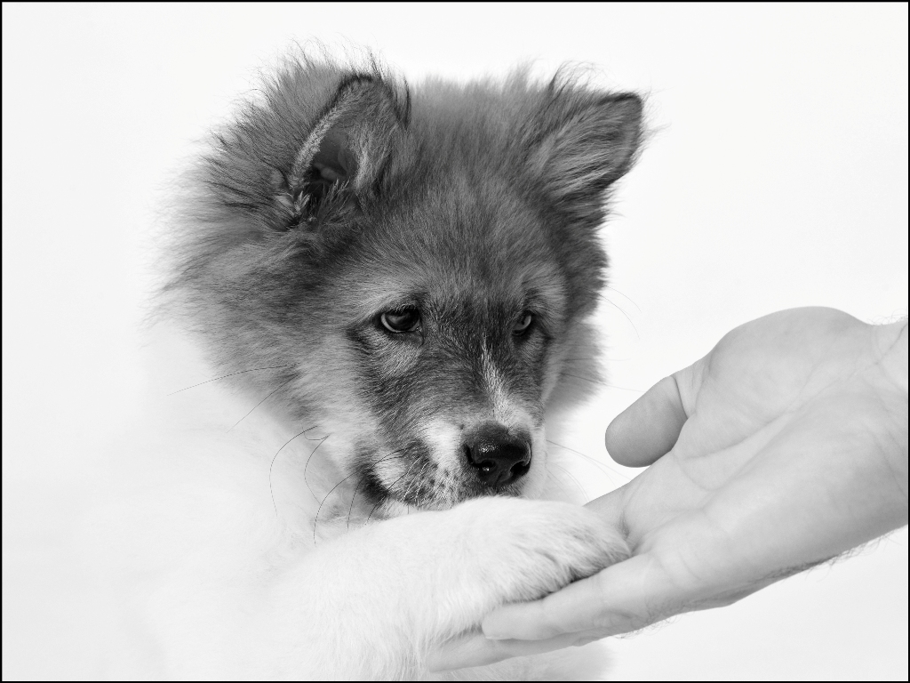 Santi pootje in hand